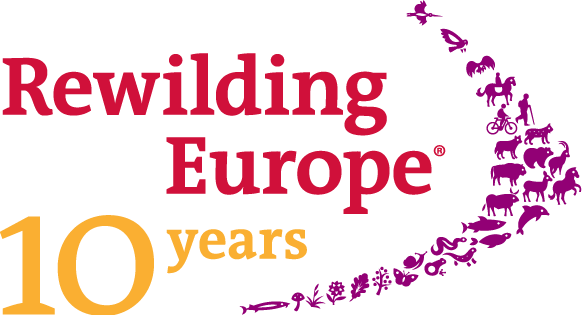 10 years of Rewilding Europe