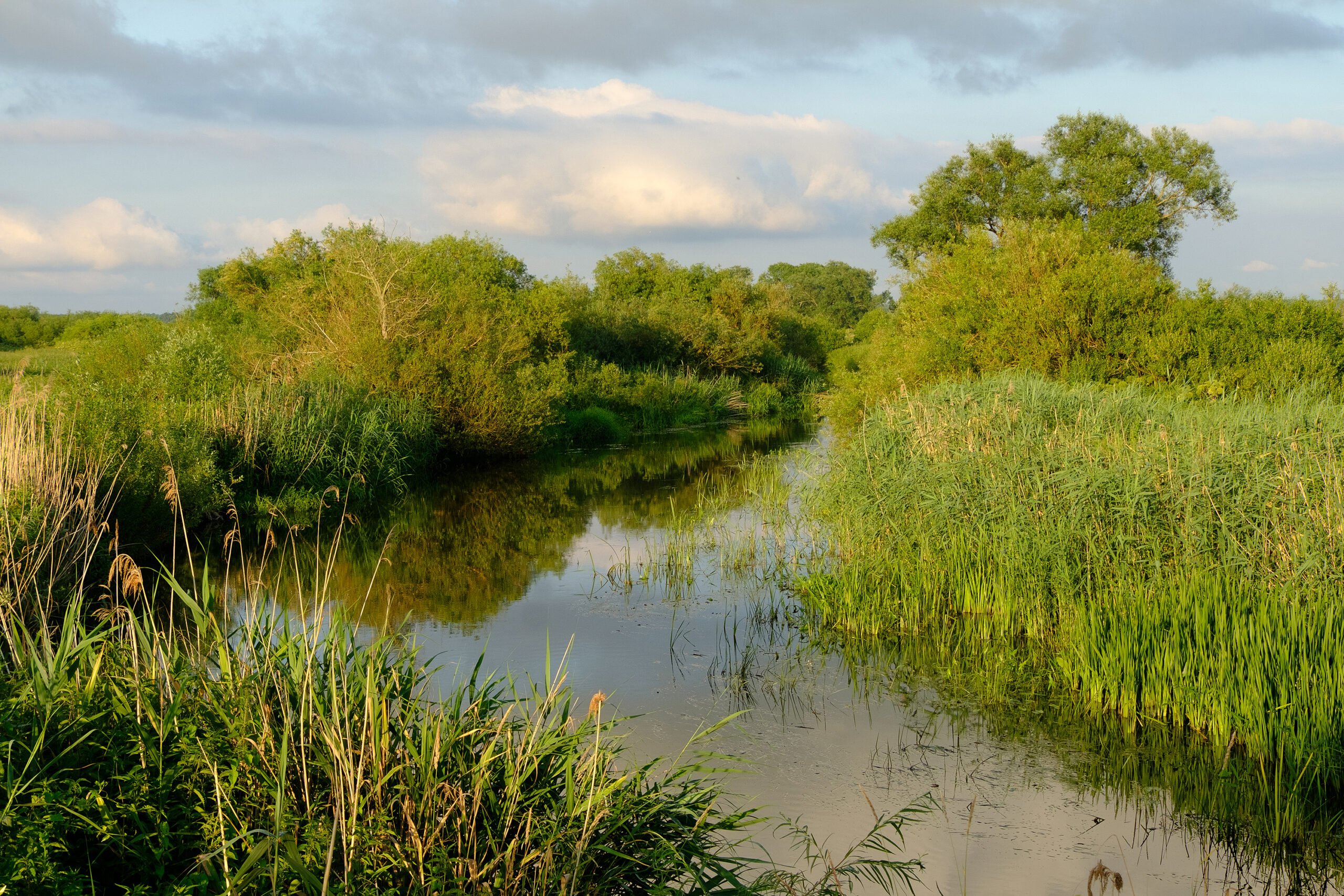 World Rivers Day: Rewilding of the Ina River supported by the Open 