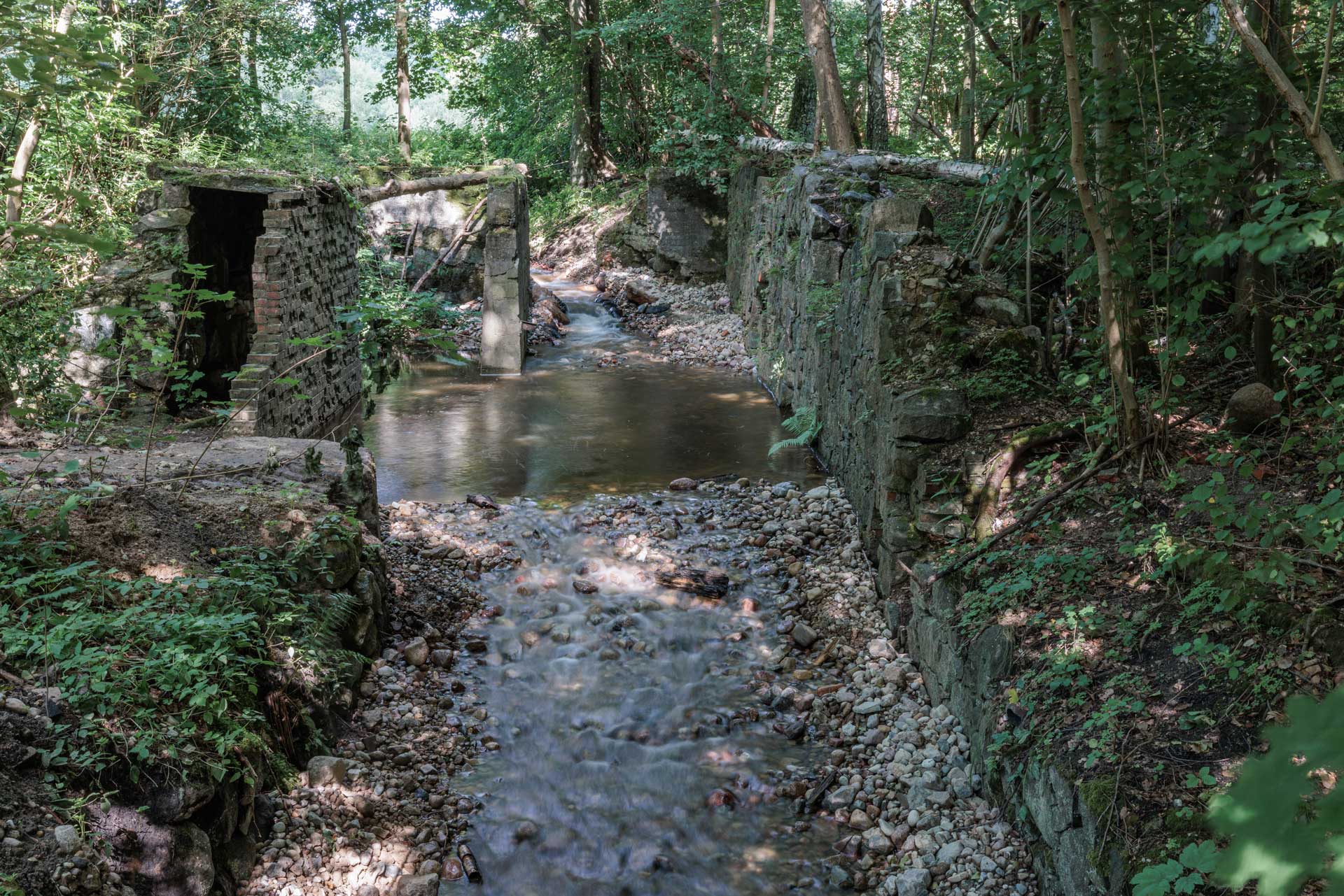 Weir on the Wisełka before the intervention