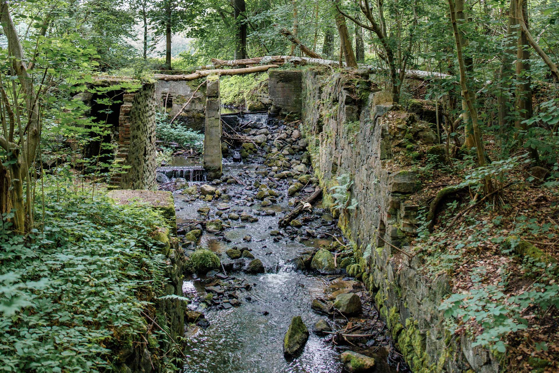 Weir on the Wisełka before the intervention