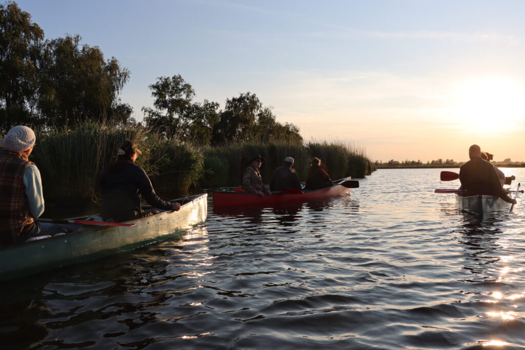 Die Teilnehmer:innen gleiten in den Sonnenuntergang