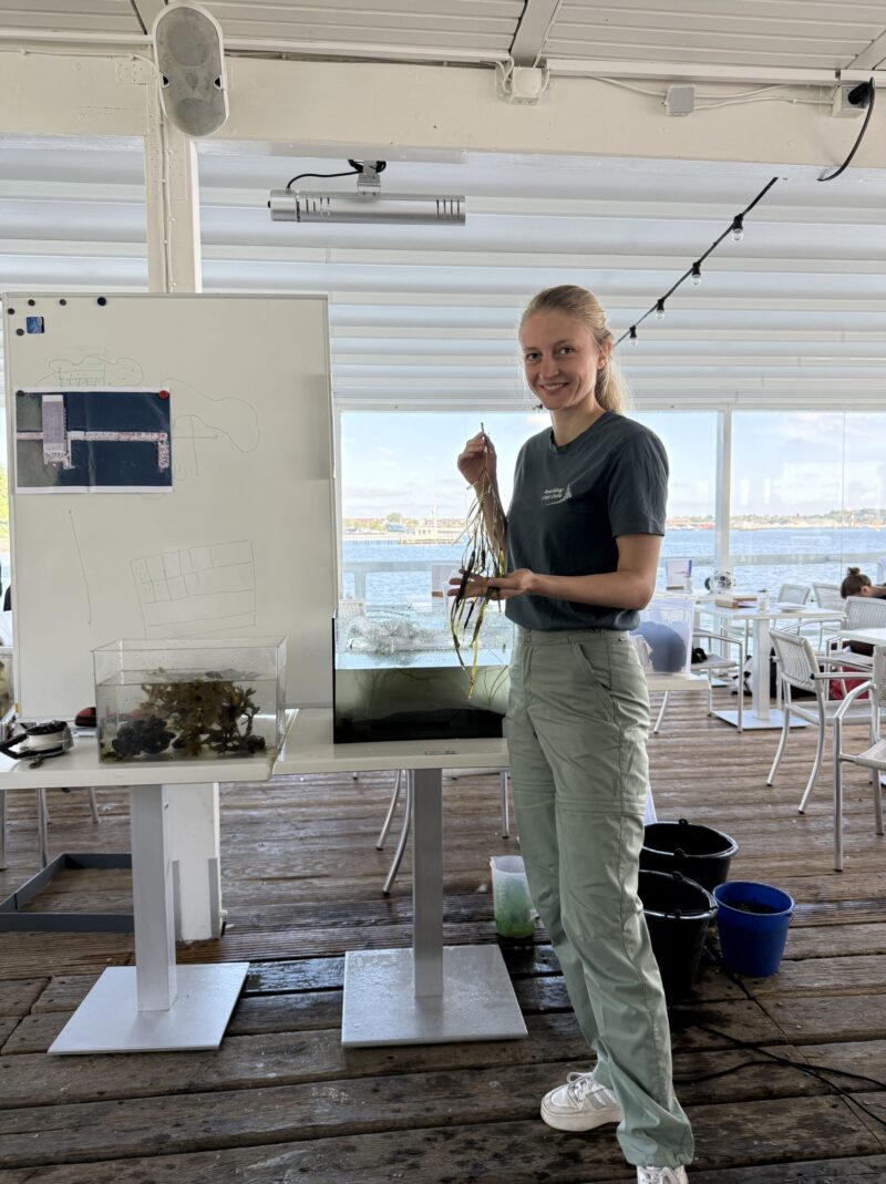 Our colleague Katrin with seaweed blossom sprout