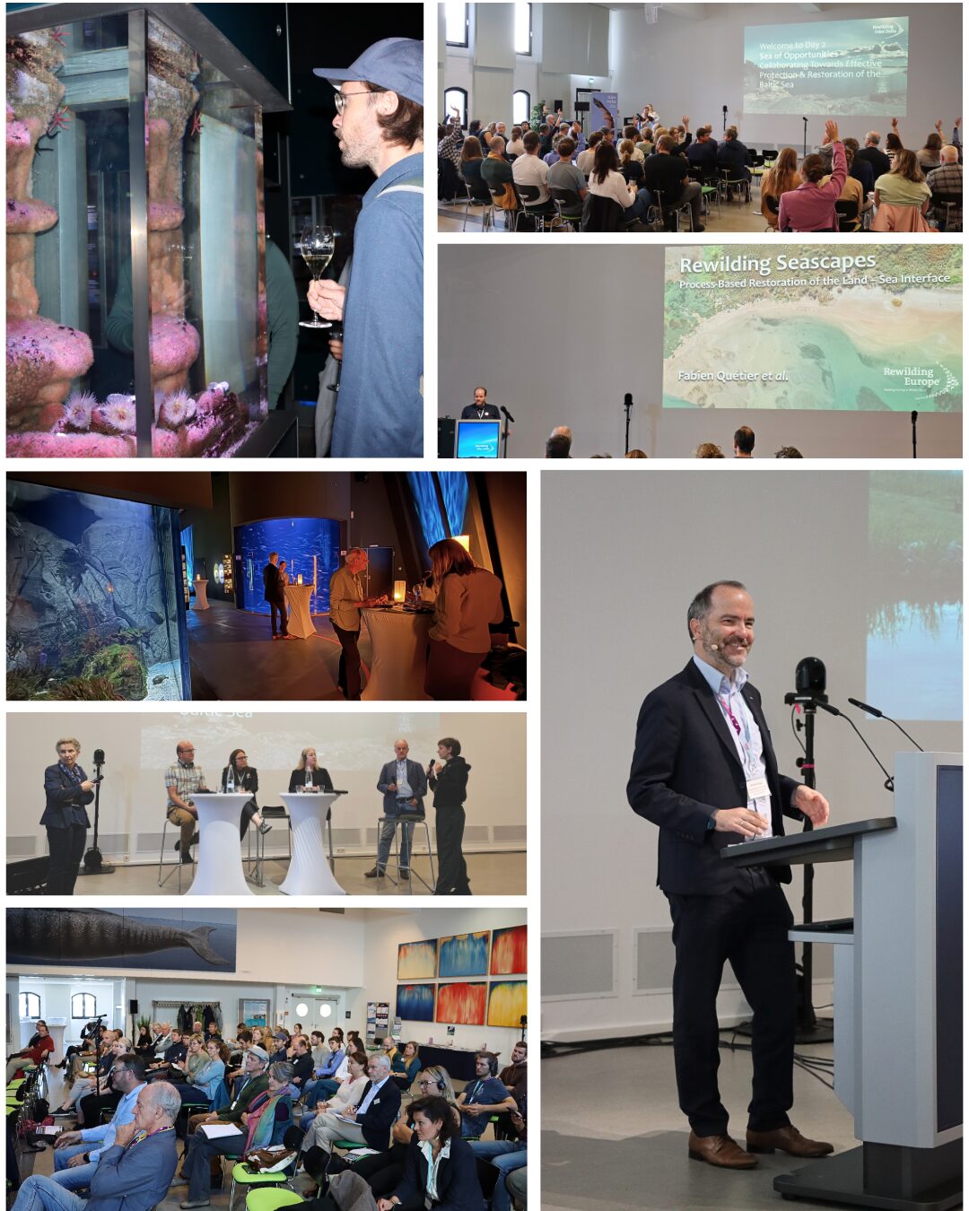 Eindrücke von der Abschlusskonferenz aus Stralsund, Bild unten rechts: Sebastian Unger, BMUKN