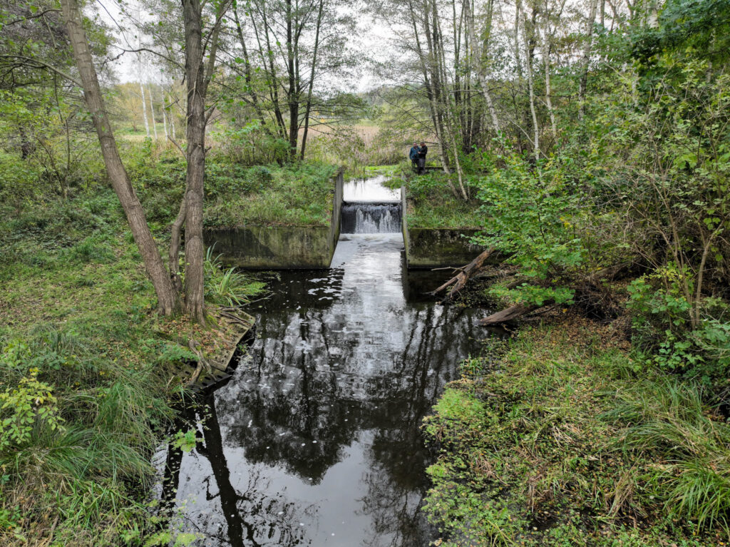 Barrier on the Stepnica River, a tributary of the Gowienica, being assessed for potential removal.