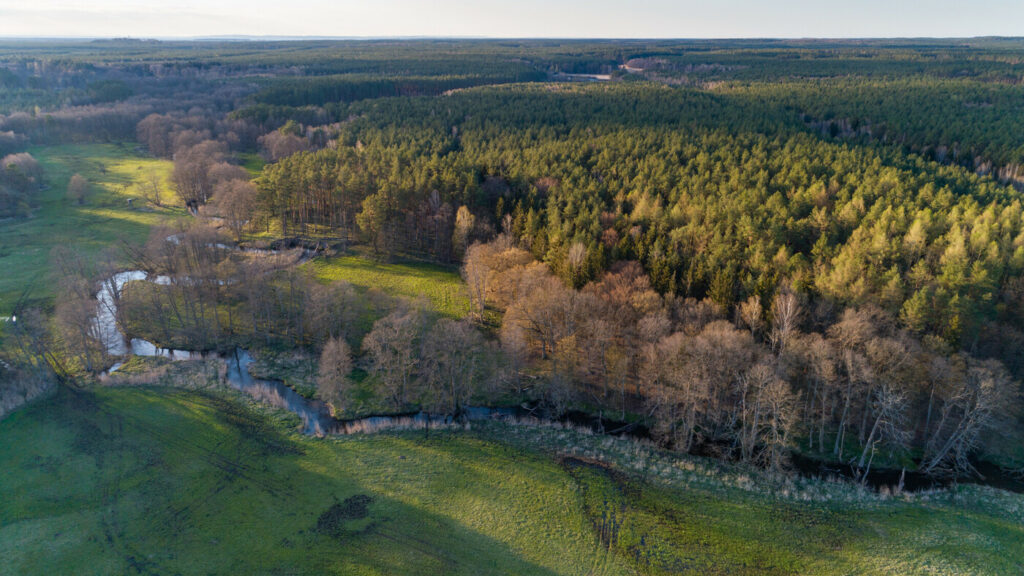 Florian Möller / Rewilding Oder Delta