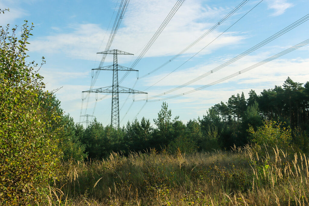 Obszary objęte elektryfikacją, takie jak te w Meklemburgii-Pomorzu Przednim, często oferują potencjał poprawy siedlisk