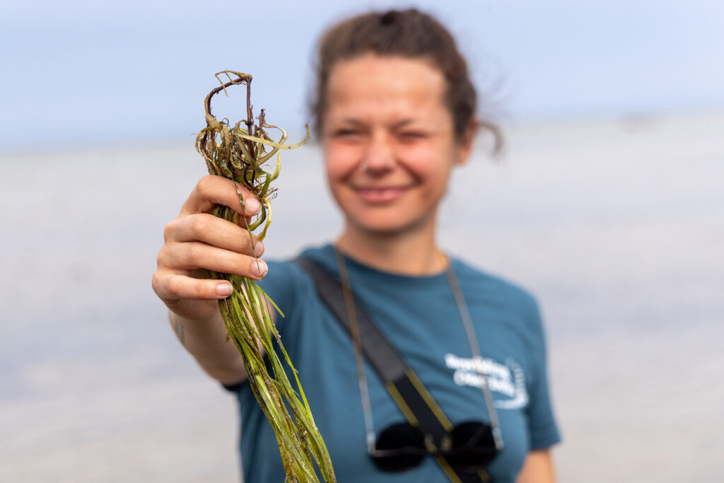 Rewilding Oder Delta communications officer, Alana Zubritz, holds up seagrass harvested from the shore which has been displaced after a storm.